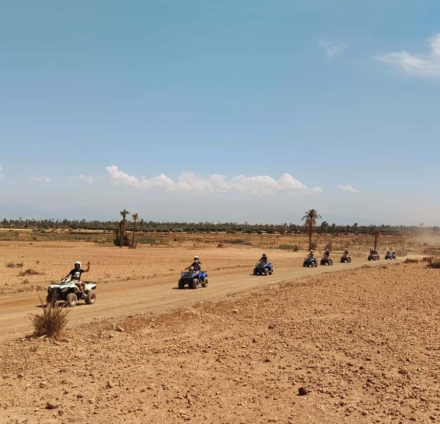 Marrakech:excursion quad in Oasis palm & jbilat desert,tea - Key points at a glance