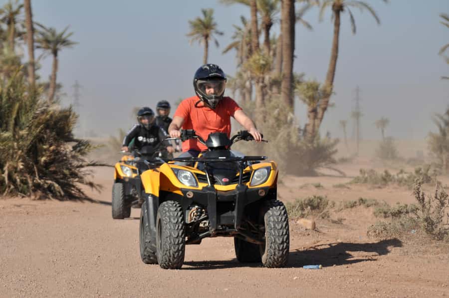 Marrakech:excursion quad in Oasis palm & jbilat desert,tea - Why the Palmeraie makes a good first quad ride