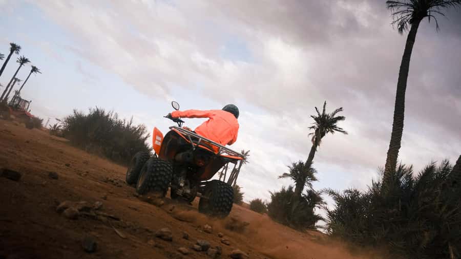 Marrakech:excursion quad in Oasis palm & jbilat desert,tea - Booking details that affect your plans