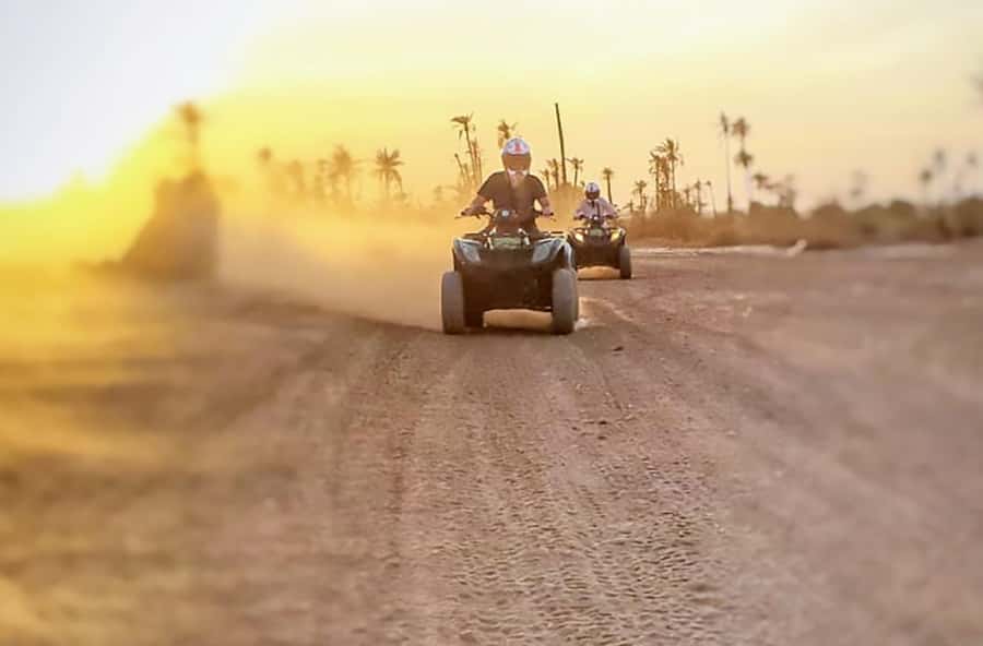 Marrakech, explore the palm grove desert by quad bike - Riding the palm grove desert for 1.5 hours