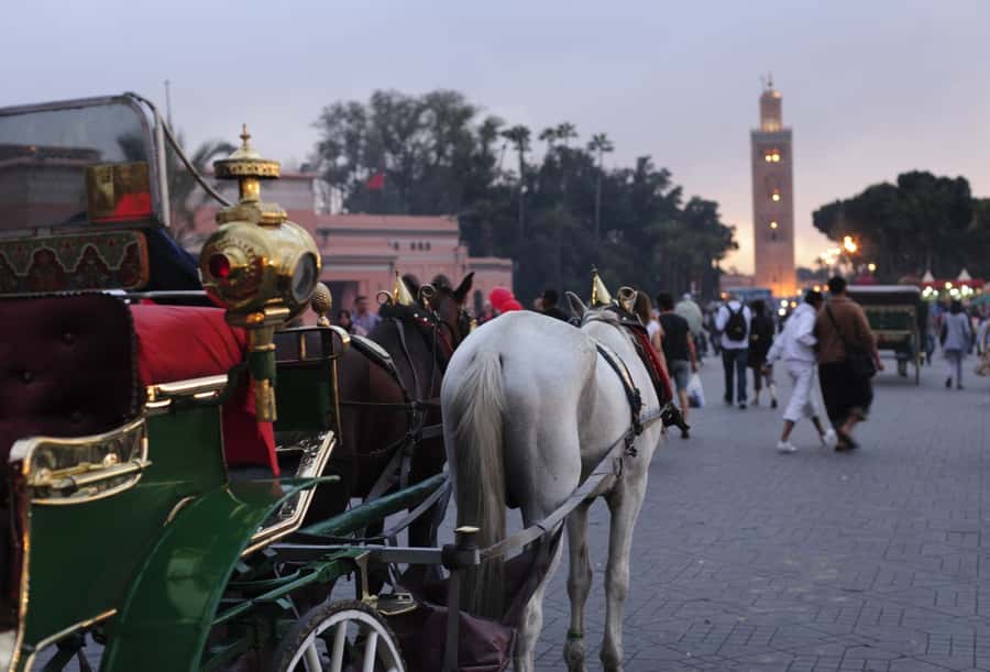 Marrakech Full-Day Guided Tour with Lunch - Ben Youssef Medersa and the craft of decoration