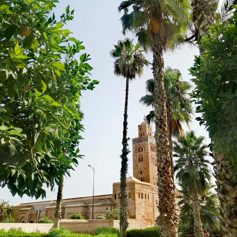 Marrakech: Guided Bike Tour with a local Guide - Menara Gardens and the best photography pause