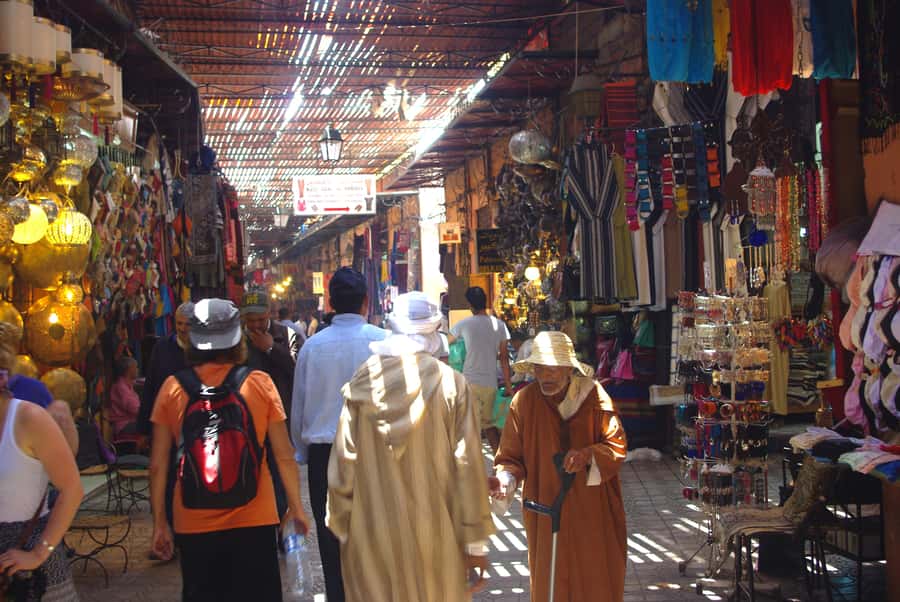 Marrakech: Guided City and Gardens Highlights Tour - Menara Garden and the Atlas Mountain views