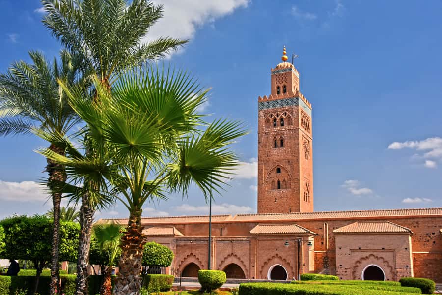Marrakech: Guided City and Gardens Highlights Tour - Feeling the energy of Jemaa el-Fnaa