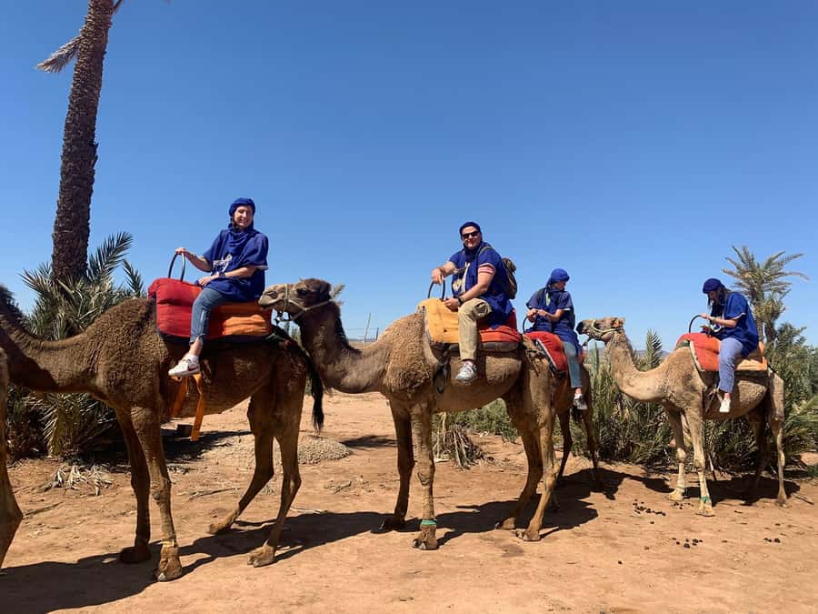 Marrakech: Guided Quad Bike and Camel Ride Tour with Tea - What this Marrakech quad and camel tour is really like