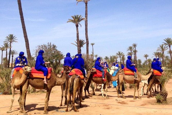 Marrakech: Half-Day Camel Ride in Palm Grove - Dressing for the ride in a jilbab and Saharan scarf