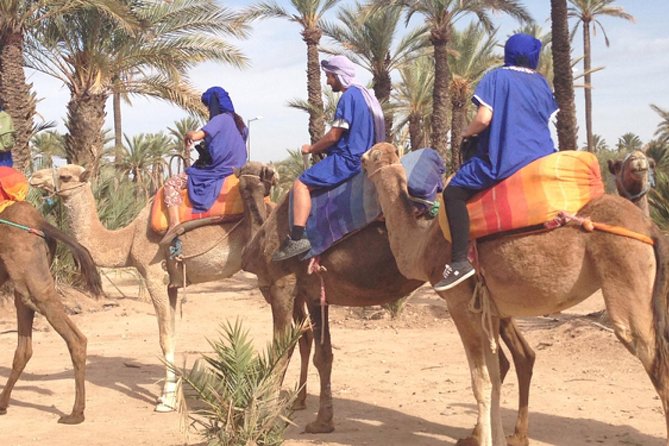 Marrakech: Half-Day Camel Ride in Palm Grove - Is $17 good value for this Marrakech camel ride?