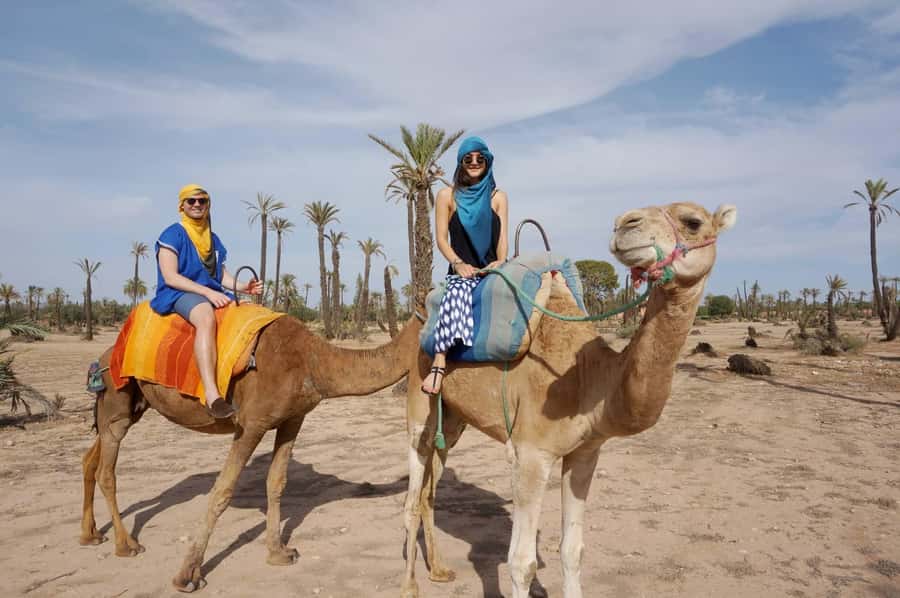 Marrakech: Half-Day Camel Ride in Palm Grove - Who should book, and who should think twice?