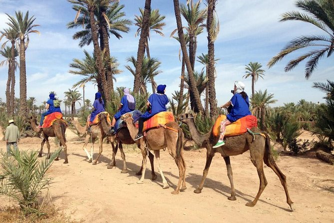 Marrakech: Half-Day Camel Ride in Palm Grove - The 30-minute van ride from your hotel or riad