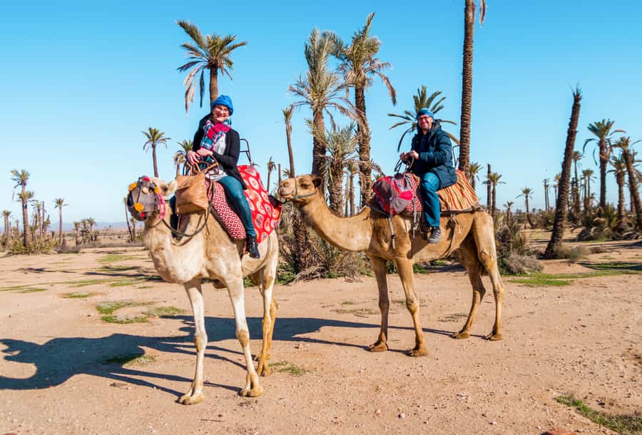 Marrakech: Half-Day Desert Quad Tour with Camel Ride - The dromedary ride and its slower rhythm