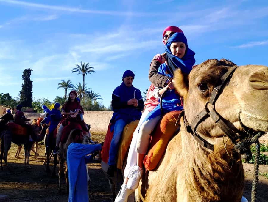 Marrakech: Half-day Dunes Trip With Buggy and Camel Ride - Key points at a glance