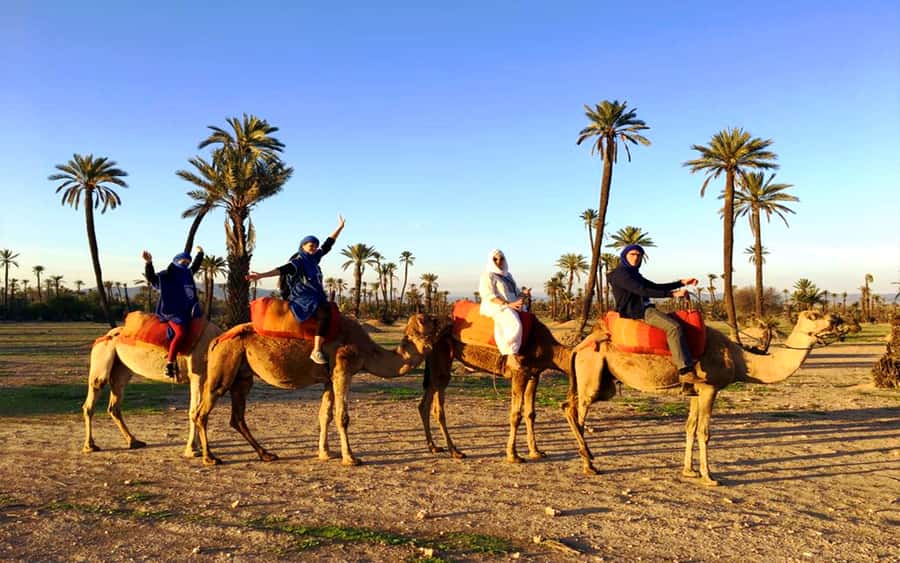Marrakech: Half-day Dunes Trip With Buggy and Camel Ride - Leaving Marrakech for the desert