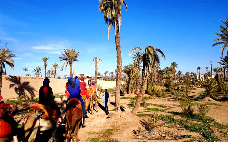 Marrakech: Half-day Dunes Trip With Buggy and Camel Ride - Who will enjoy this outing most?