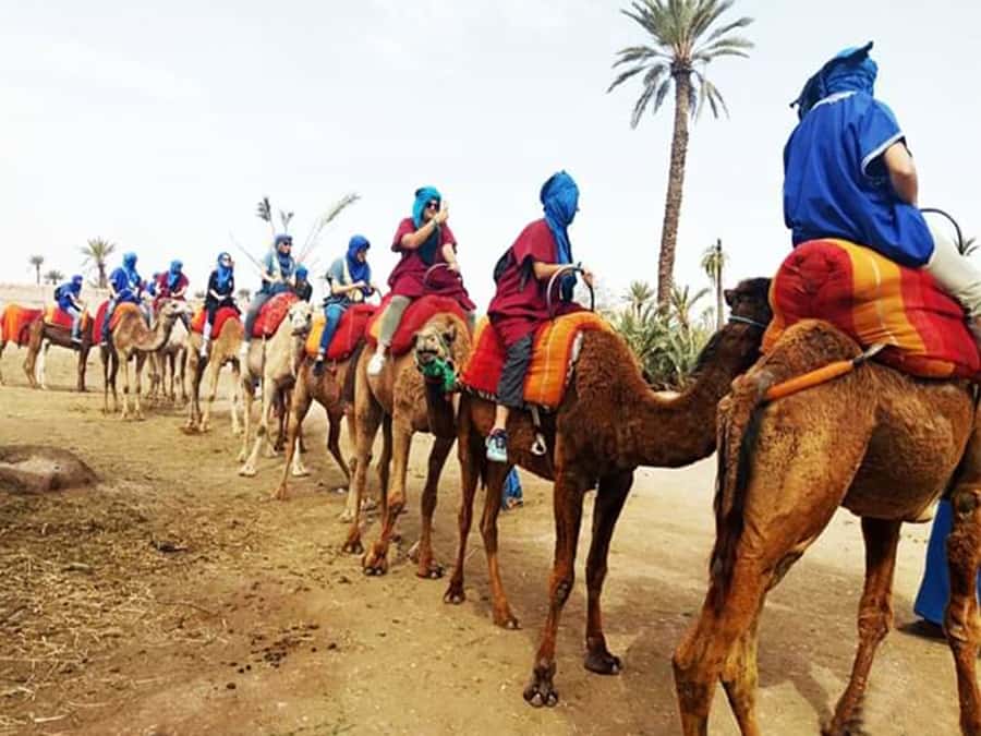 Marrakech: Half-Day Tour with Buggy Ride, Camel Ride and Spa - Coffee, Mint Tea, and a Berber Village Stop