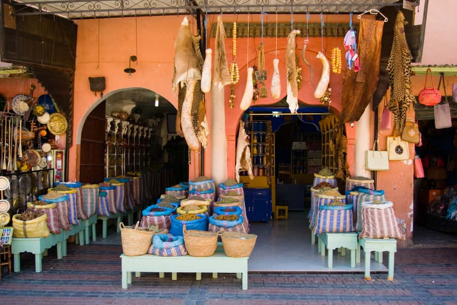 Marrakech: Historical Discovery Tour - Who gets the best value from the $79 price