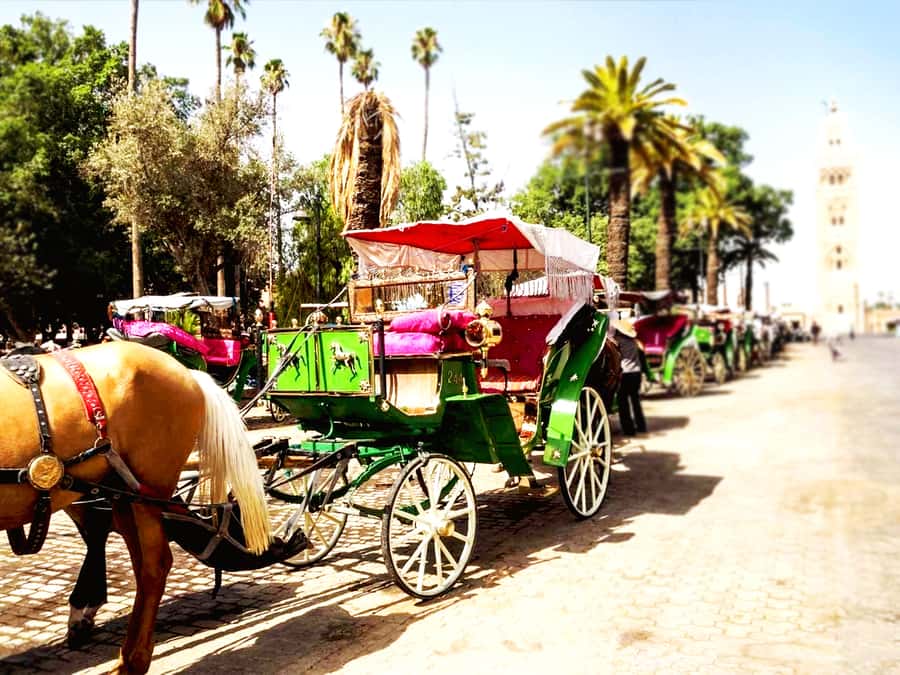 Marrakech: Horse-Drawn Carriage Tour - A gentle introduction to Marrakech by carriage