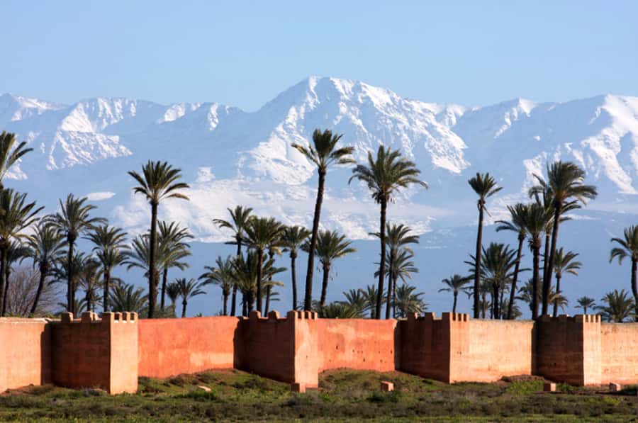 Marrakech: Horse-Drawn Carriage Tour - Hivernage brings a sharp change of mood