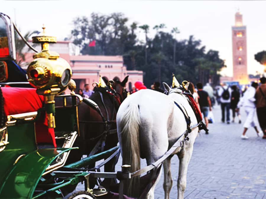 Marrakech: Horse-Drawn Carriage Tour - The Agnaou Door and the southern Medina