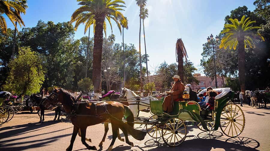 Marrakech: Horse-Drawn Carriage Tour - What the carriage ride feels like