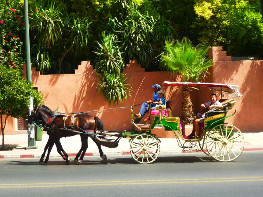 Marrakech: Horse-Drawn Carriage Tour - Pickup from your hotel or riad