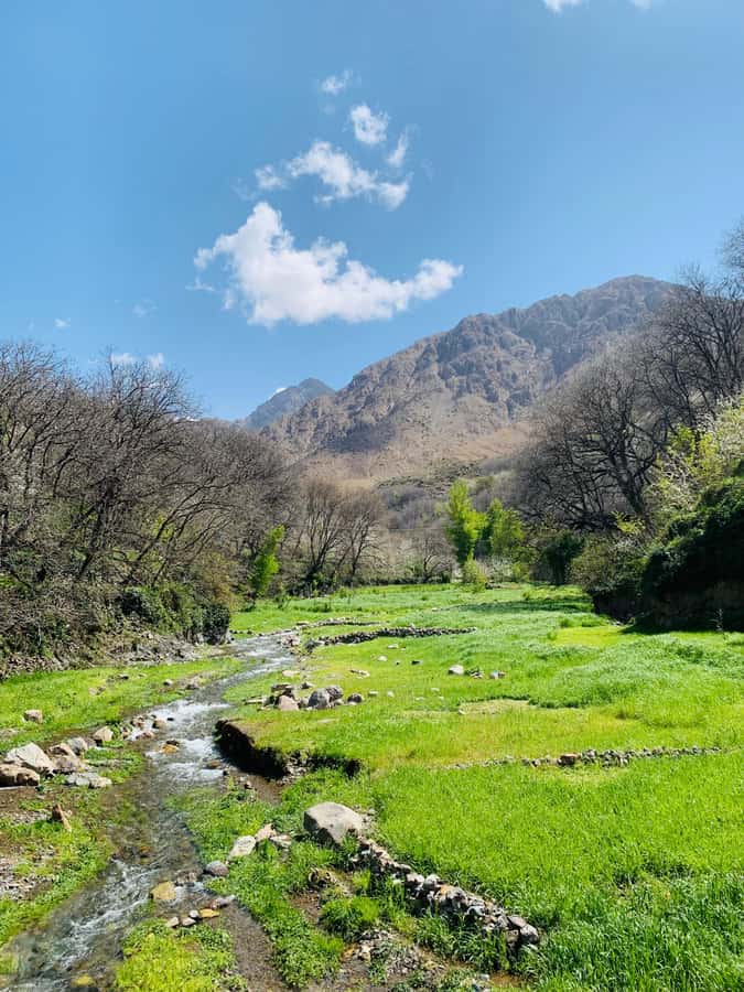 Marrakech: Imlil Atlas Mountains Day Trip with Lunch - Berber village life beyond the main road