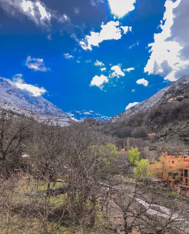 Marrakech: Imlil Atlas Mountains Day Trip with Lunch - Who will enjoy this day most