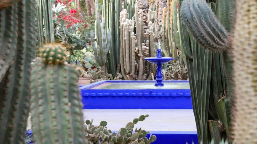 Marrakech: Majorelle Garden Entry Tickets Online - Why the blue garden feels different from Marrakech