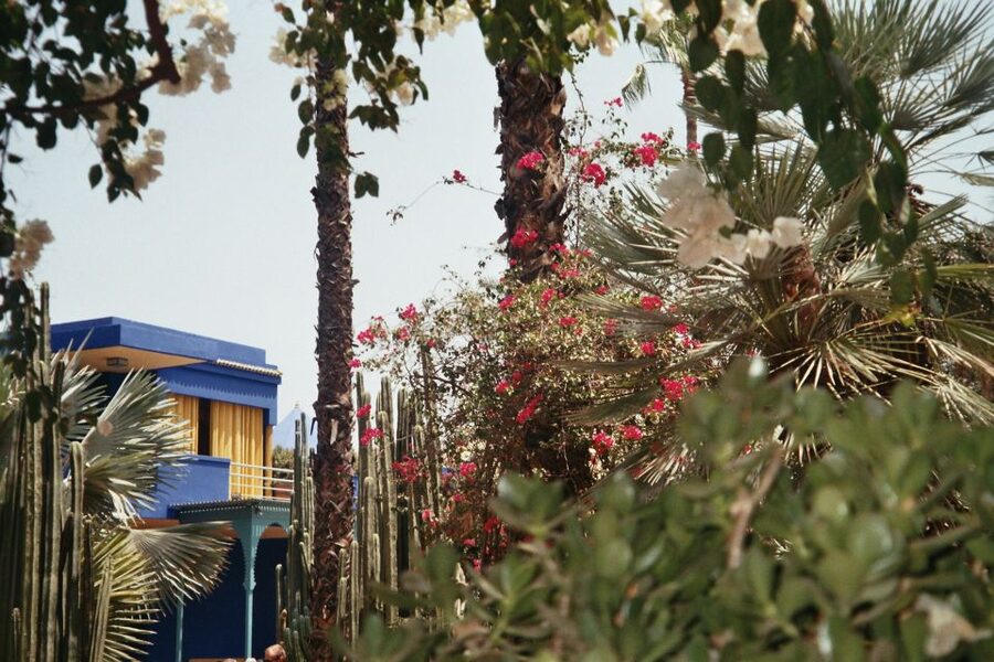 Marrakech: Majorelle Garden Entry Tickets Online - The story of Jacques Majorelle and Yves Saint Laurent