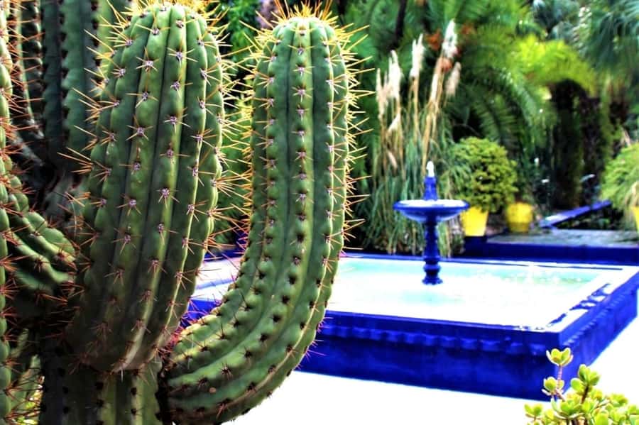 Marrakech: Majorelle Garden, Museums Tickets, & Audio Guide - The Pierre Bergé Museum of Berber Arts