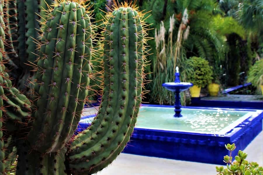 Marrakech: Majorelle Garden, YSL, and Berber Museum Entry - Finding the Pierre Bergé Museum of Berber Arts