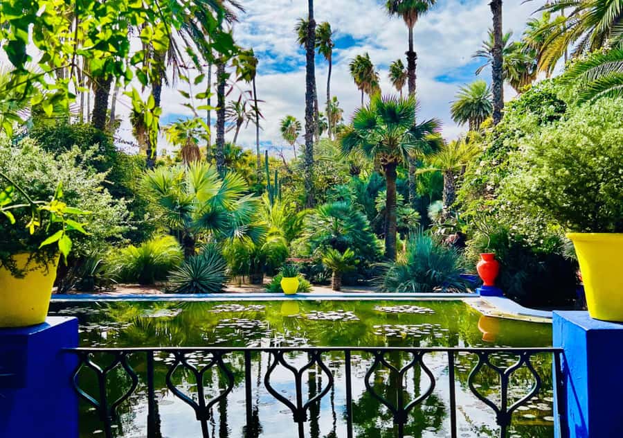Marrakech: Majorelle & Menara Garden Tour and Carriage Ride - Key points to know before you book
