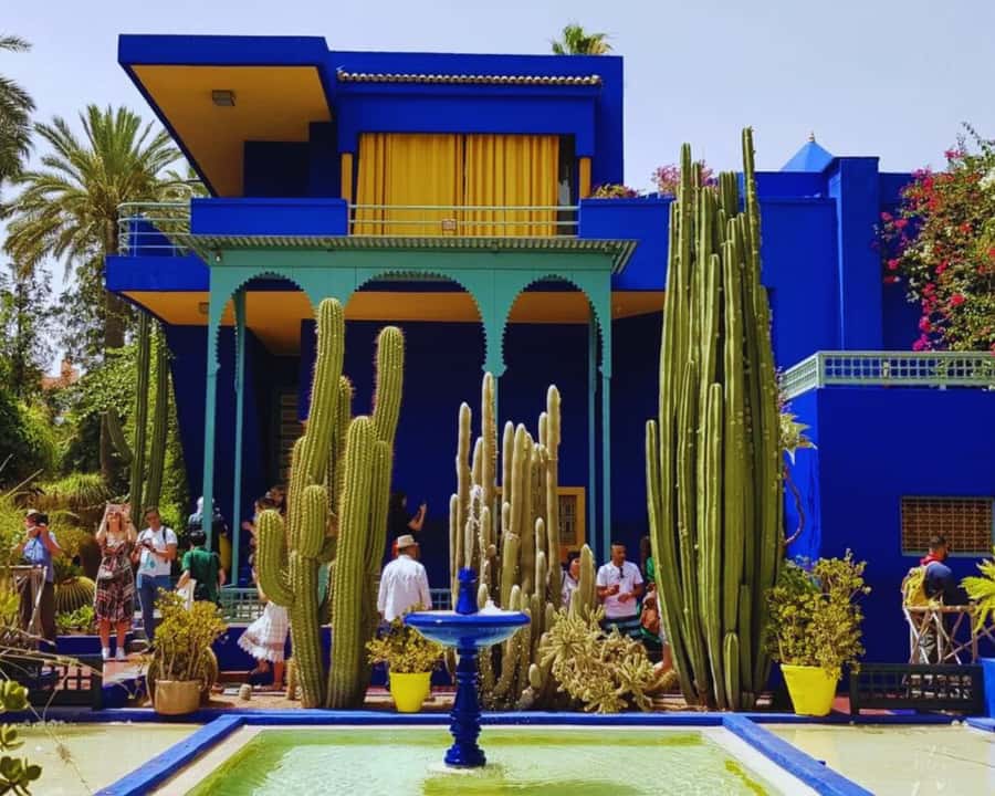Marrakech: Majorelle & Menara Garden Tour and Carriage Ride - Menara Gardens, olive trees, and Atlas views