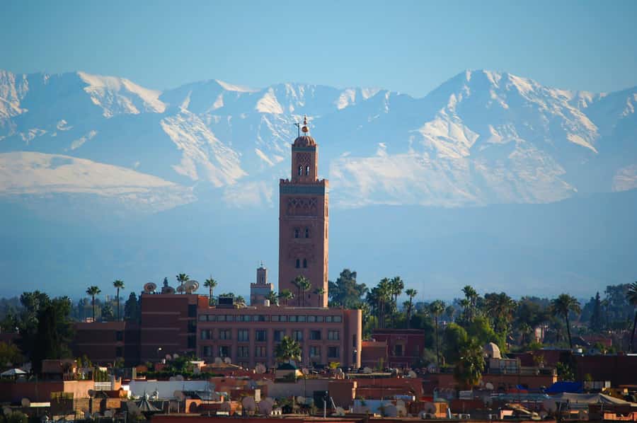 Marrakech: Moroccan Cooking Class with Amazing Local Chef! - Tea, pastries, and the first taste of Morocco