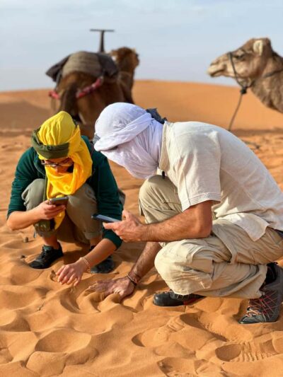 2-Day Desert with Camel, 4×4 & Meals