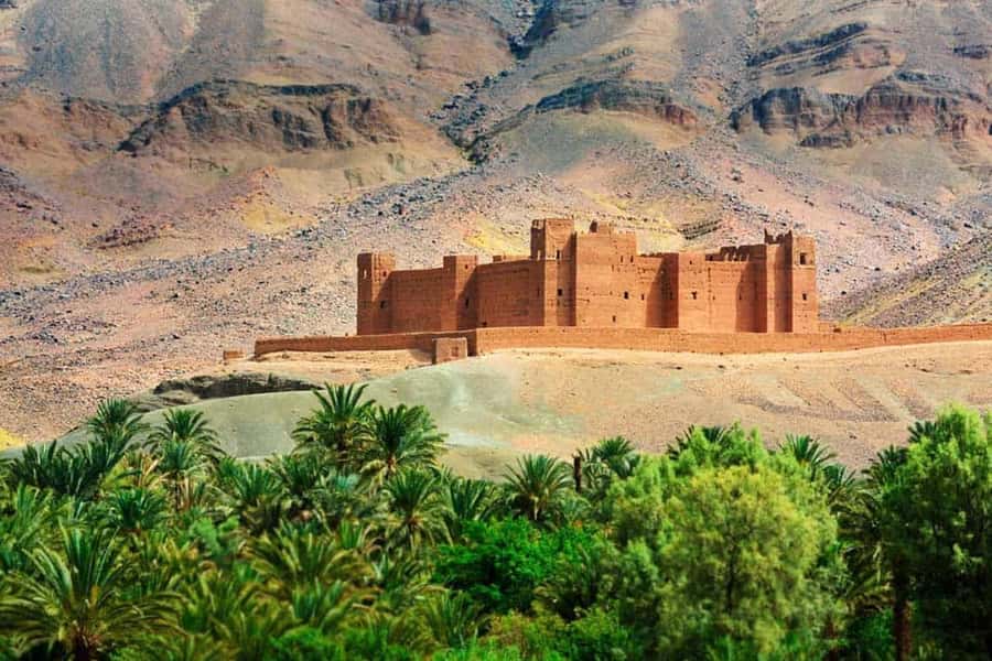 Marrakech: Ouarzazate Excursion - Tizi n’Tichka and the changing Moroccan scenery