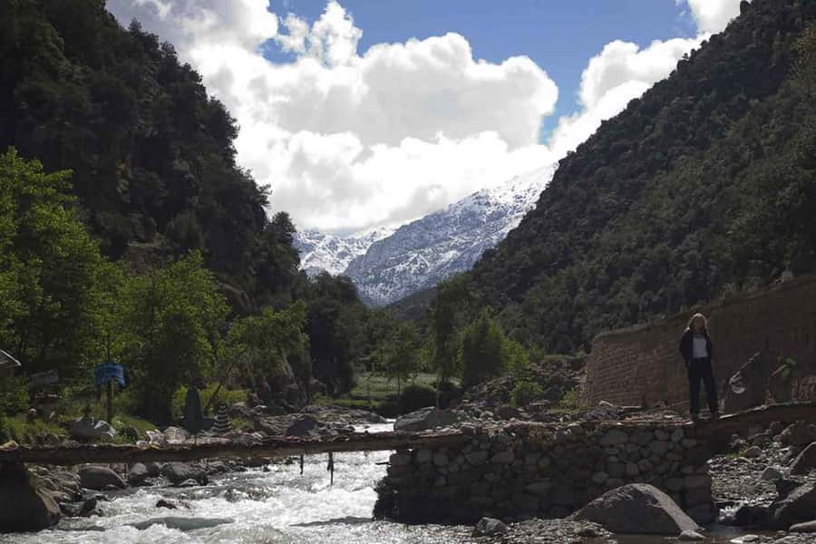 Marrakech: Ourika Valley and Atlas Mountains Day Trip - Lunch beside the Ourika River