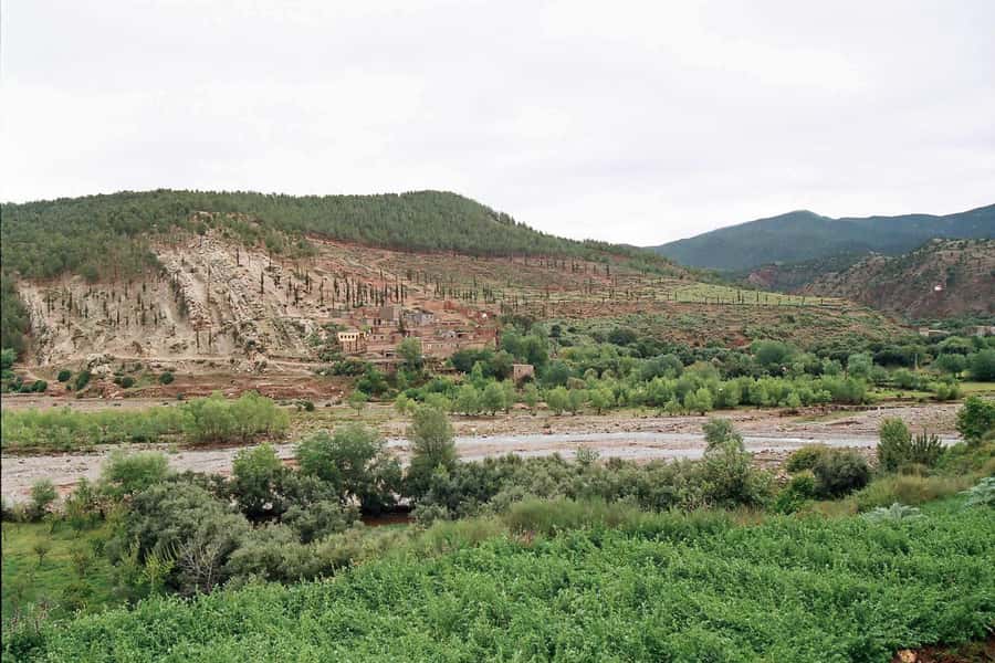 Marrakech: Ourika Valley and Atlas Mountains Day Trip - What the $7 price really gives you
