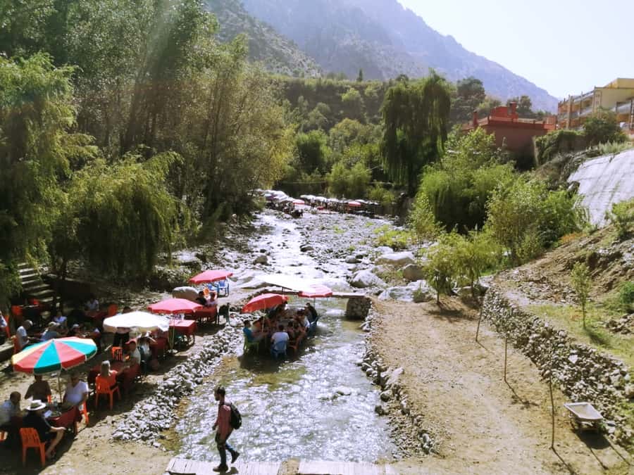 Marrakech: Ourika Valley and Atlas Mountains Day Trip - Who will enjoy this day most