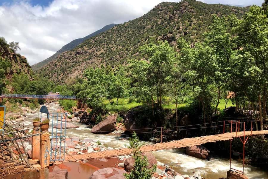 Marrakech: Ourika Valley and Atlas Mountains Day Trip - Should you book the Ourika Valley trip?
