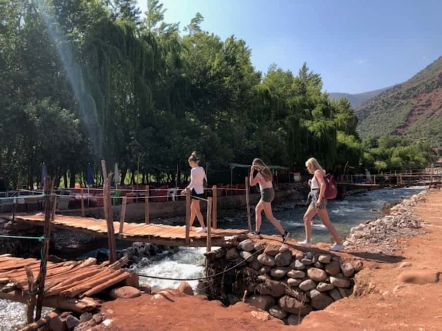 Marrakech: Ourika Valley & Atlas Mountains Half-Day Trip - Who should book this Ourika Valley trip?