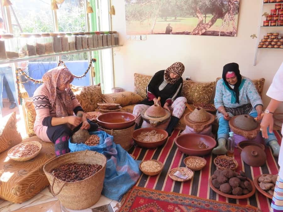 Marrakech: Ourika Valley & Atlas Mountains Half-Day Trip - The five-hour schedule and what it leaves out