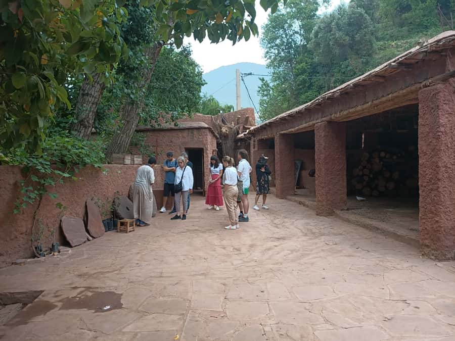 Marrakech Ourika Valley, Atlas Mountains, Waterfall + Lunch - Is $8 a good value?