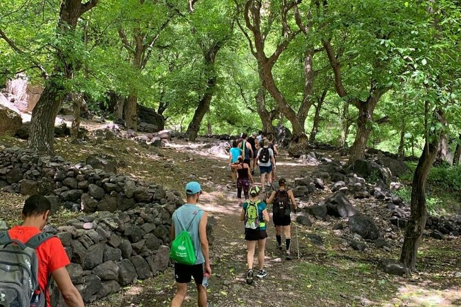 Marrakech: Ourika Valley, Atlas Mountains, Waterfalls & Lunch - Guides, drivers, and the value of group travel