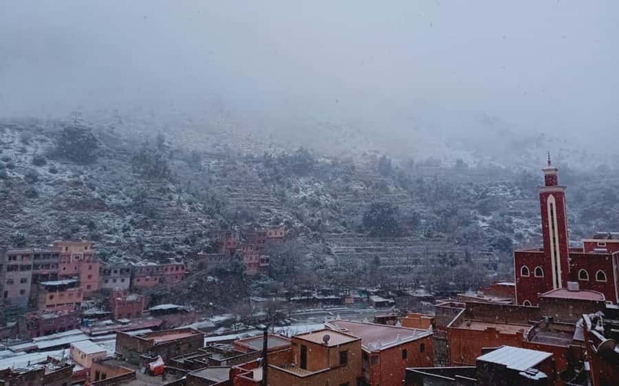 Marrakech: Ourika Valley Day Trip with Berber Village - Lunch, Drinks, and the Real Cost