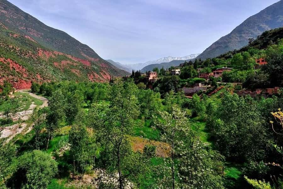 Marrakech: ourika valley lunch & guided hike to waterfalls - Lunch beside the Ourika River