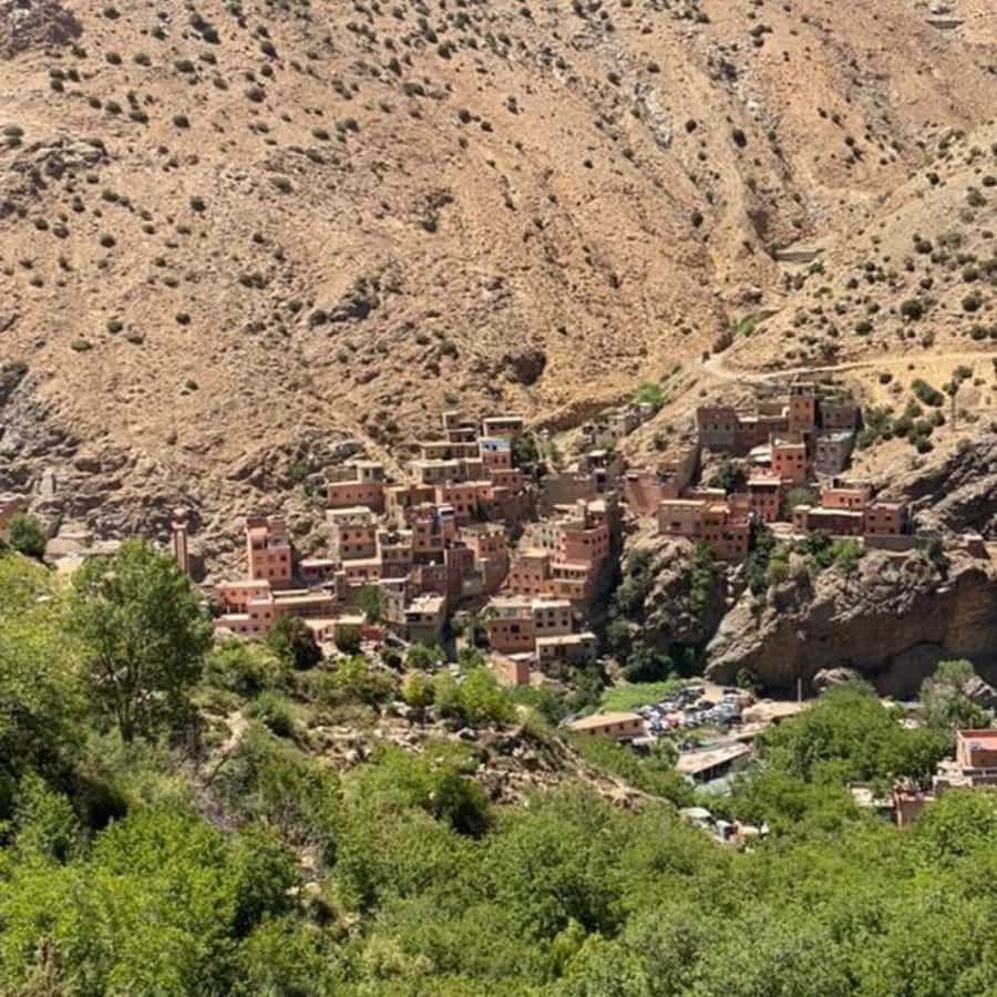 Marrakech: Ourika Valley & Setti Fatma Waterfalls with Lunch - The drive home and the day’s rhythm