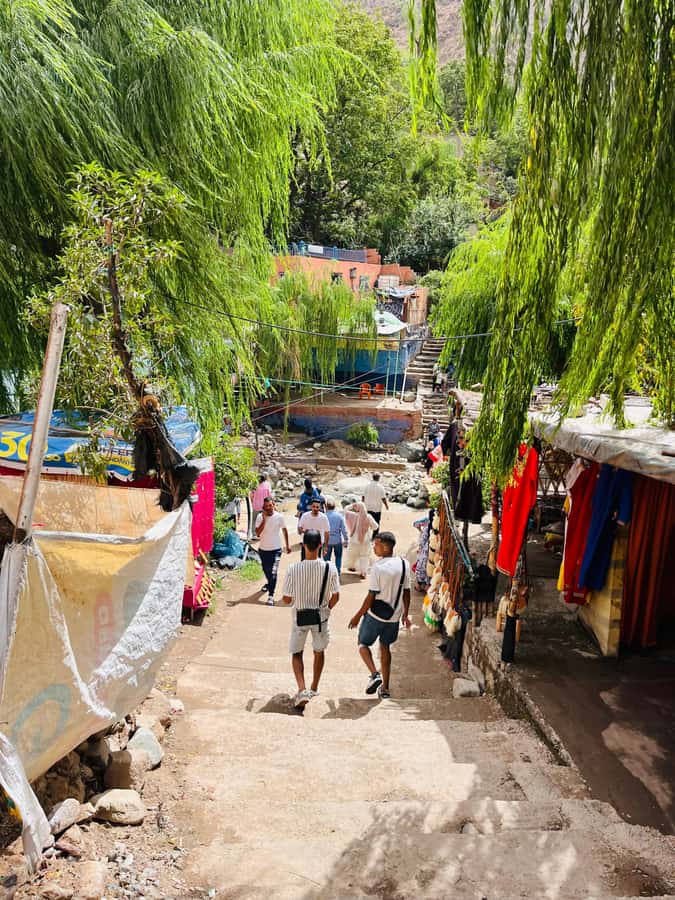 Marrakech: ourika valley & waterfall Day Trip with guide - Meeting the local guide in Setti Fatma