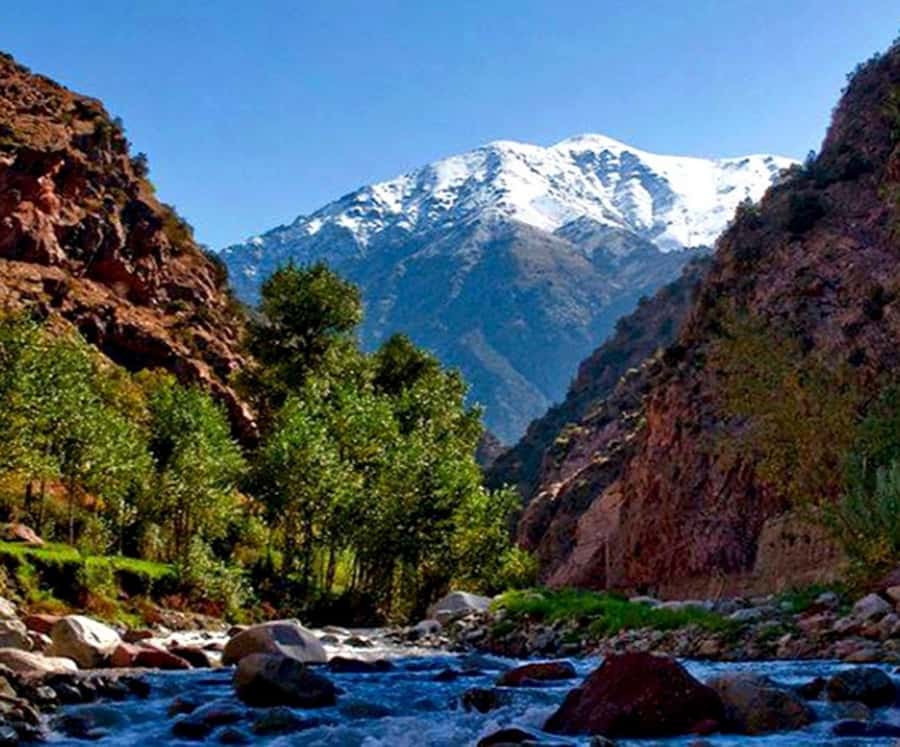 Marrakech: Ourika Valley,Waterfalls, Atlas Luxury Day trip - Should you book the Ourika Valley day trip?