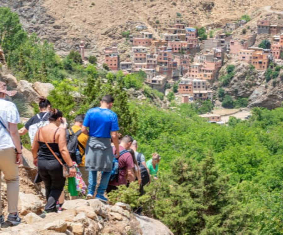 Marrakech: Ourika Valley,Waterfalls, Atlas Luxury Day trip - The argan oil cooperative: useful, but expect a sales stop