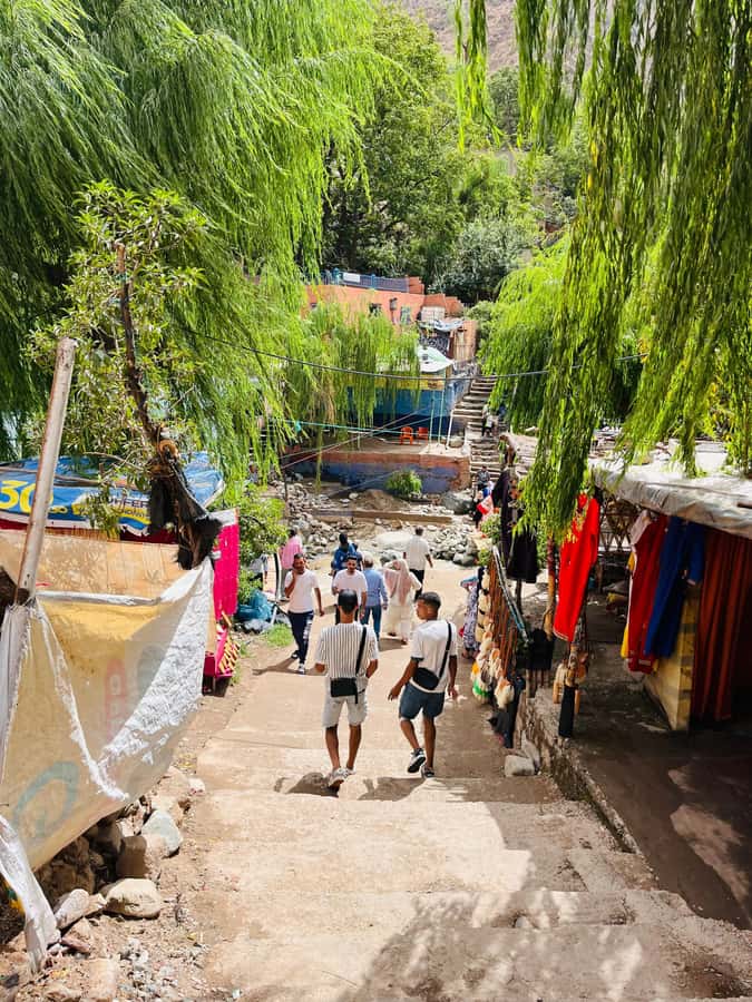 Marrakech: Ourika Valley Waterfalls & guided hike - The walk to the waterfall